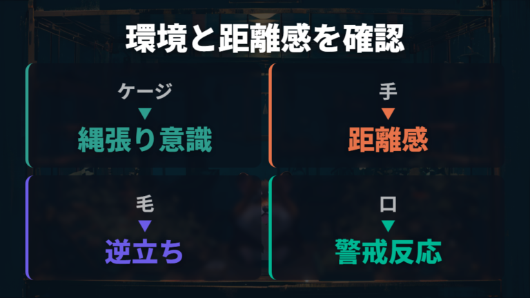 ストレスや恐怖で噛む原因は環境と距離感を確認する