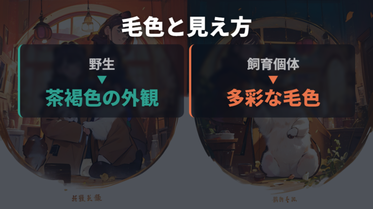 野生個体とペットの違いは毛色と冬毛に出る