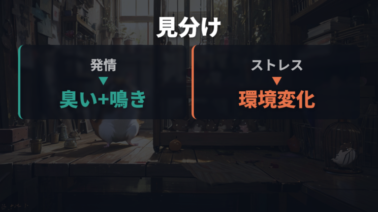 ストレス行動との違いは噛み方と環境変化を合わせて見る