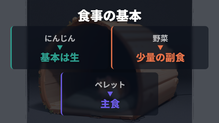 生のにんじんは主食ではなく副食