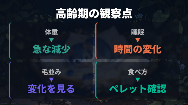 老化サインと高齢期の変化は何を見ればいい？