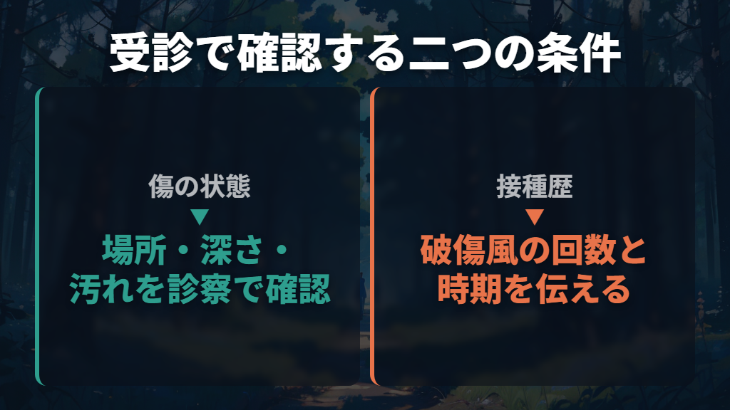 感染症と破傷風は、傷の状態と接種歴で判断してもらう