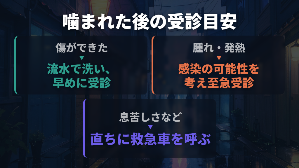 何科へ行く?小さな傷でも早めに、腫れや発熱は急いで受診
