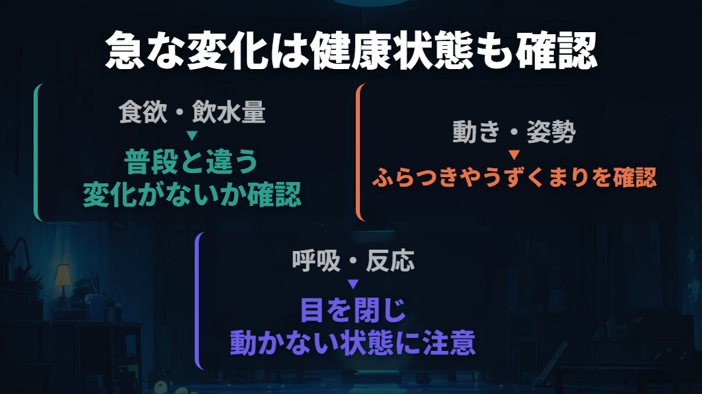急に噛むようになったら、食欲や動きの変化も確認する