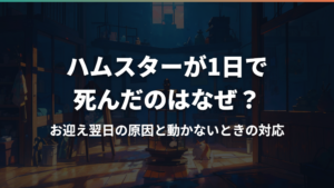 ハムスターが1日で死んだのはなぜ?お迎え翌日の原因と動かないときの対応
