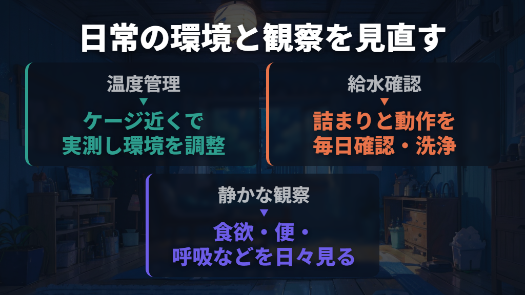 今後に向けては、温度・給水・静かな観察を見直す