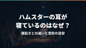 ハムスターの耳が寝ているのはなぜ？寝起きとの違いと受診の目安