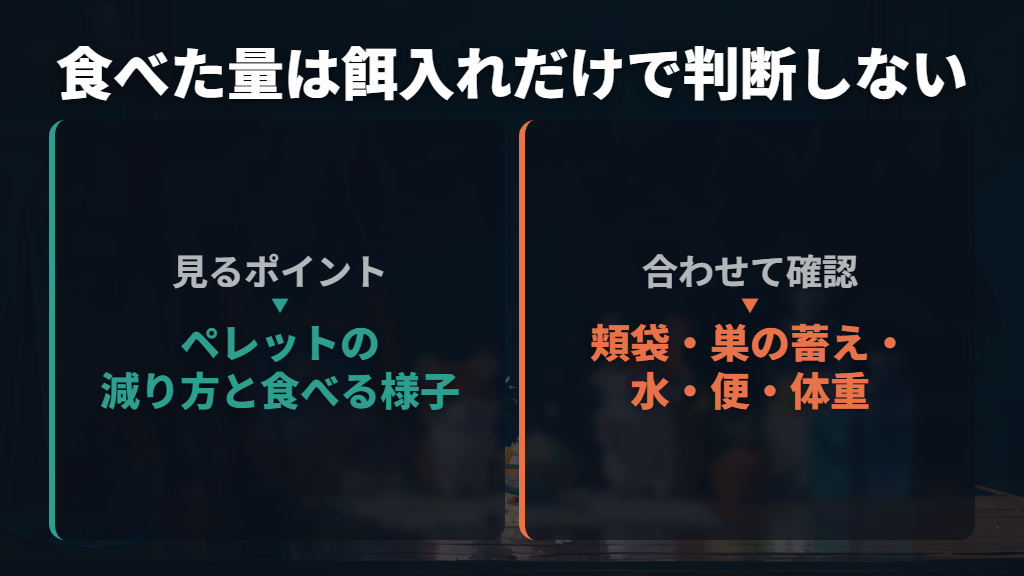 食欲は「餌が減った」だけで判断しない