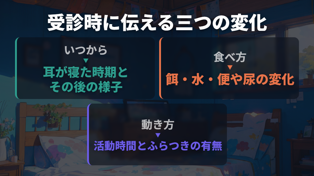 受診時は「いつから・食べ方・動き方」を伝える