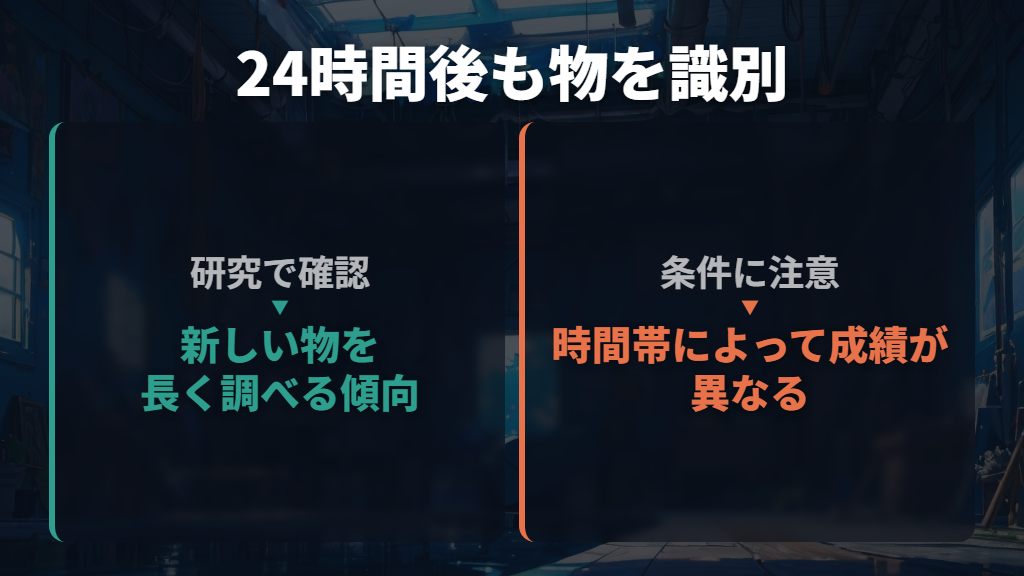 記憶はどれくらい続く?24時間後の物の識別