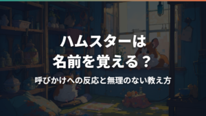 ハムスターは名前を覚える?呼びかけへの反応と無理のない教え方