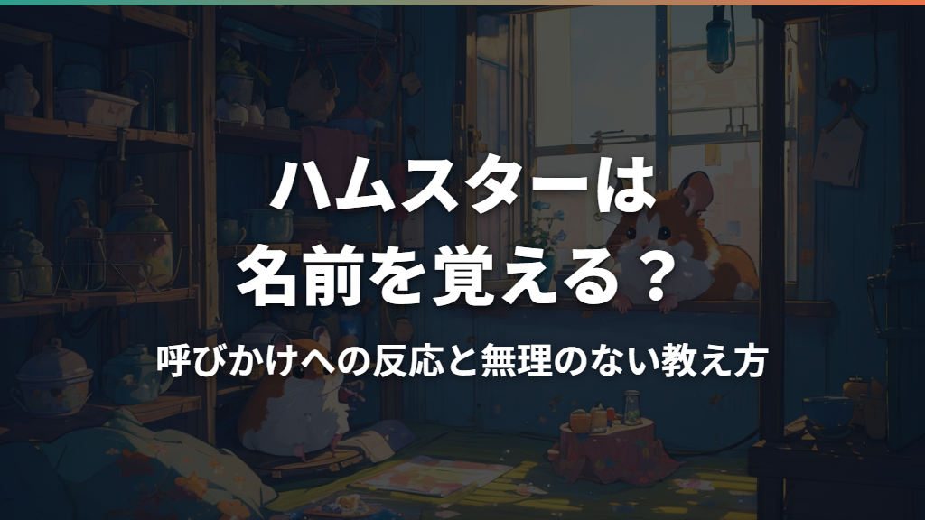 ハムスターは名前を覚える？呼びかけへの反応と無理のない教え方
