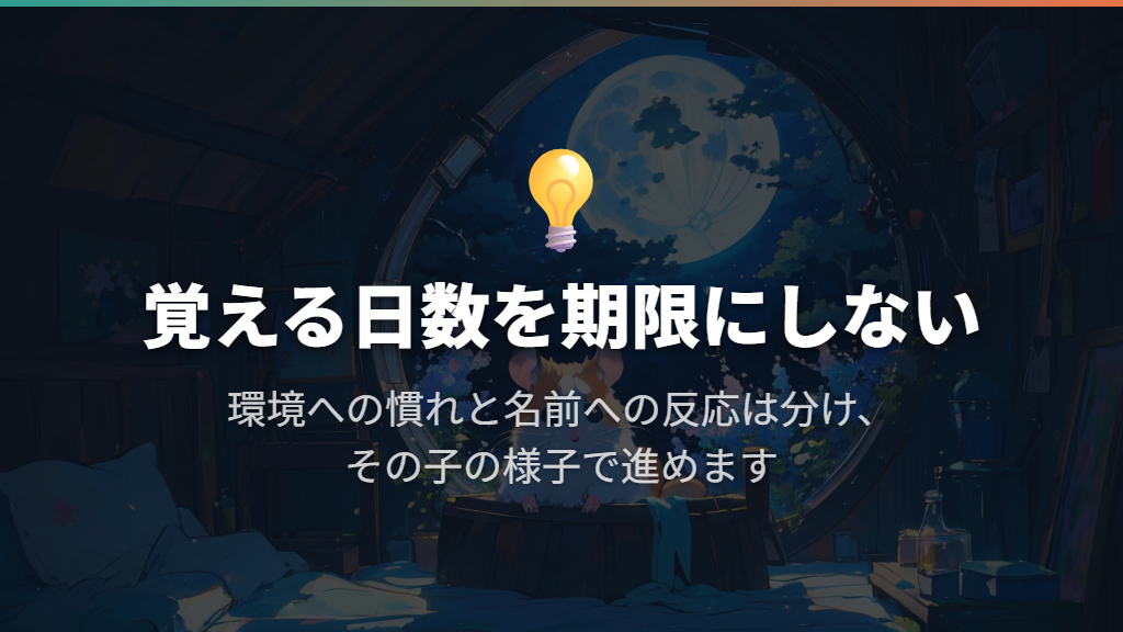 何日で覚える?環境に慣れる期間とは分けて考える