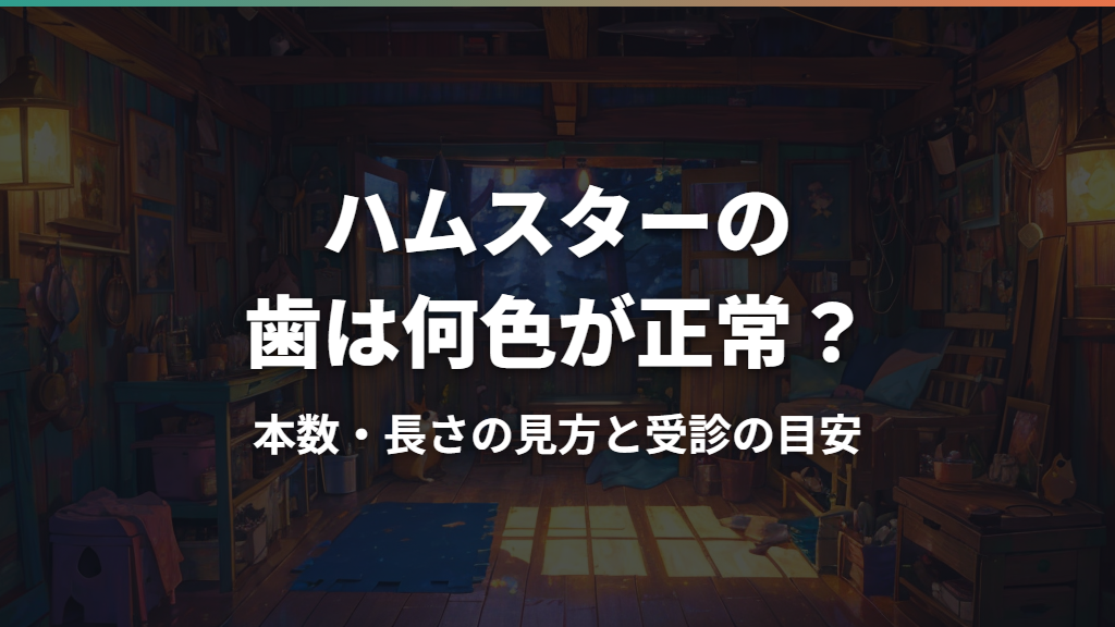 ハムスターの歯は何色が正常？本数・長さの見方と受診の目安