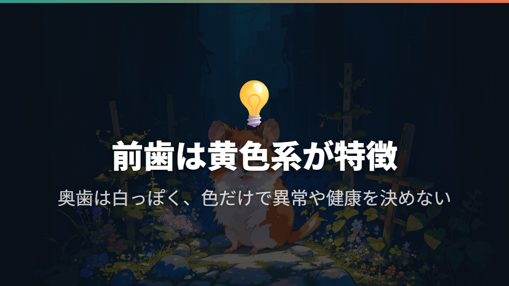 前歯の黄色～オレンジ色は正常な特徴