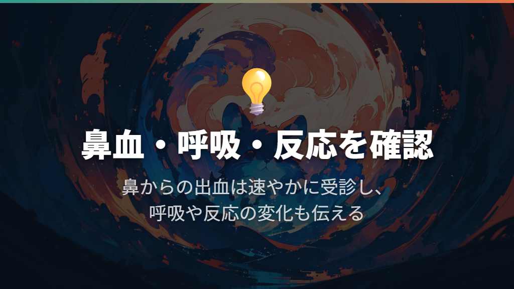 鼻からの出血は速やかに受診を。呼吸と反応も見る