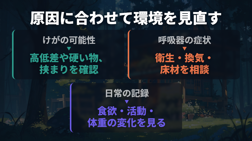 受診後は、けがの危険と飼育環境を原因に合わせて見直す