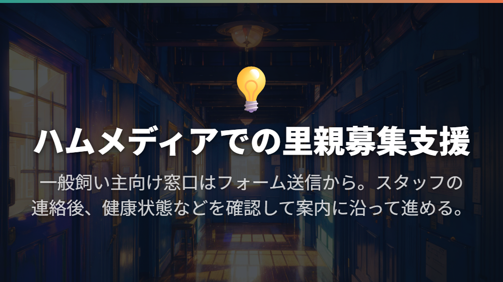 里親探しは、相手選びと引継ぎまで含めて進める
