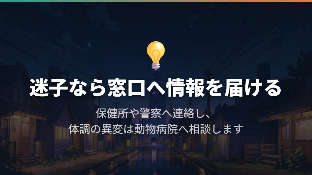 すでに逃げた・外で見つけた場合は、警察や地域の窓口へ