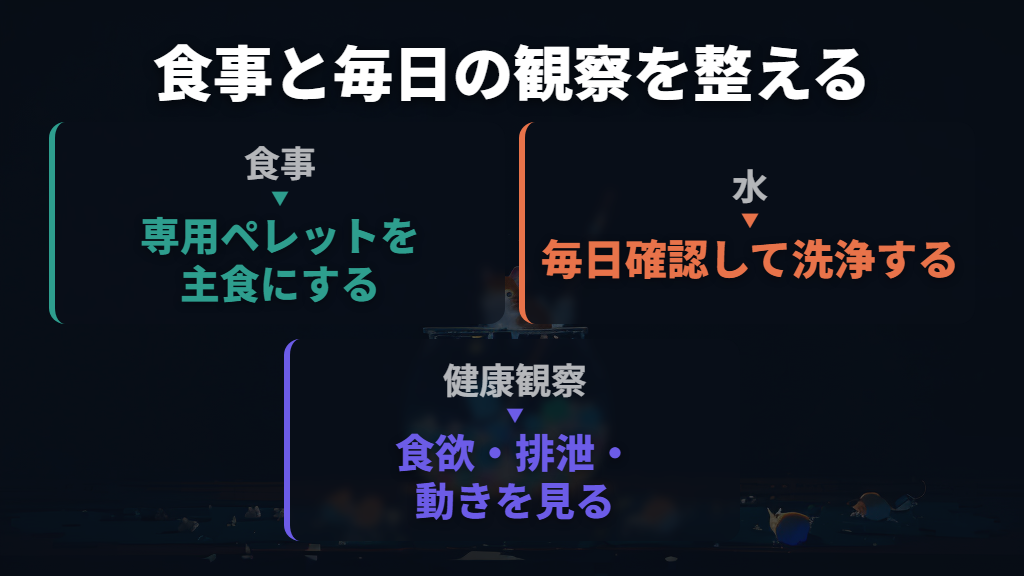 食事と水を整え、毎日の変化を受診につなげる