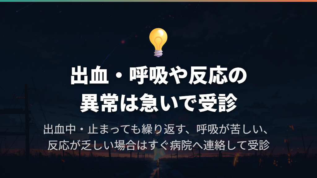 出血が続く・呼吸が苦しい・反応が乏しいときは急いで受診