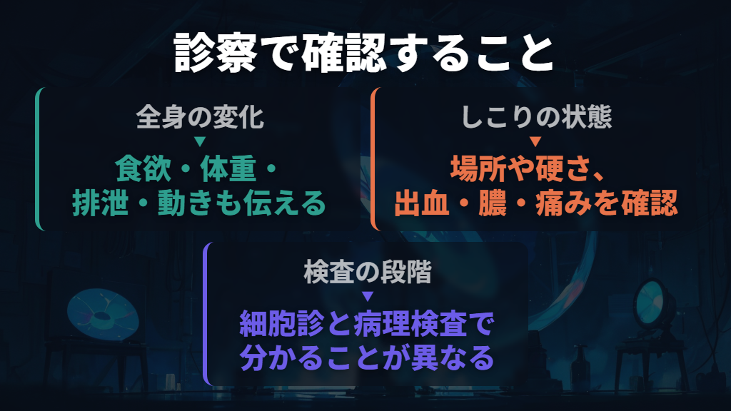 診察では全身状態としこりを確認し、必要な検査を選ぶ