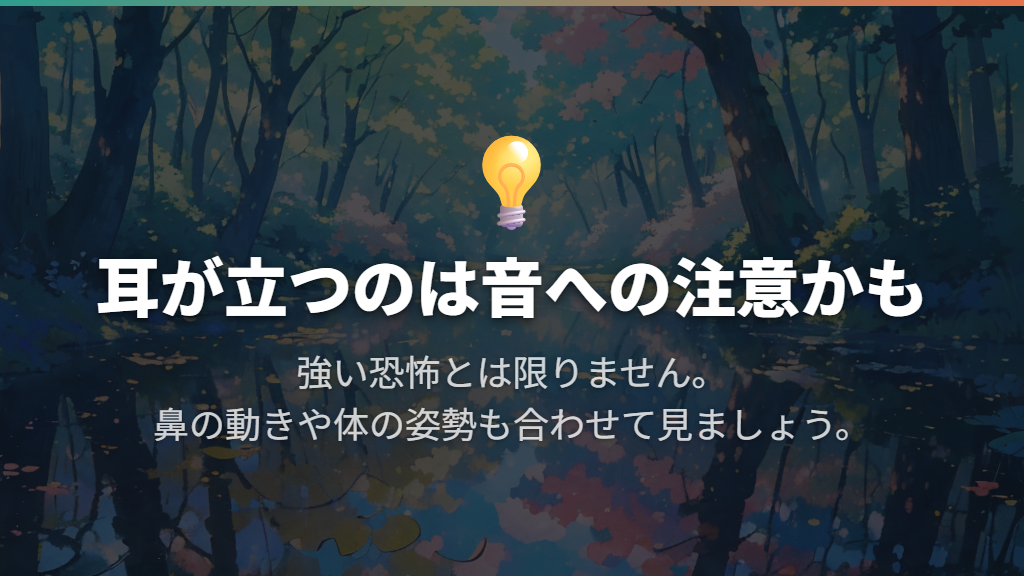 耳がピンと立つときは、周囲の音に注意を向けている