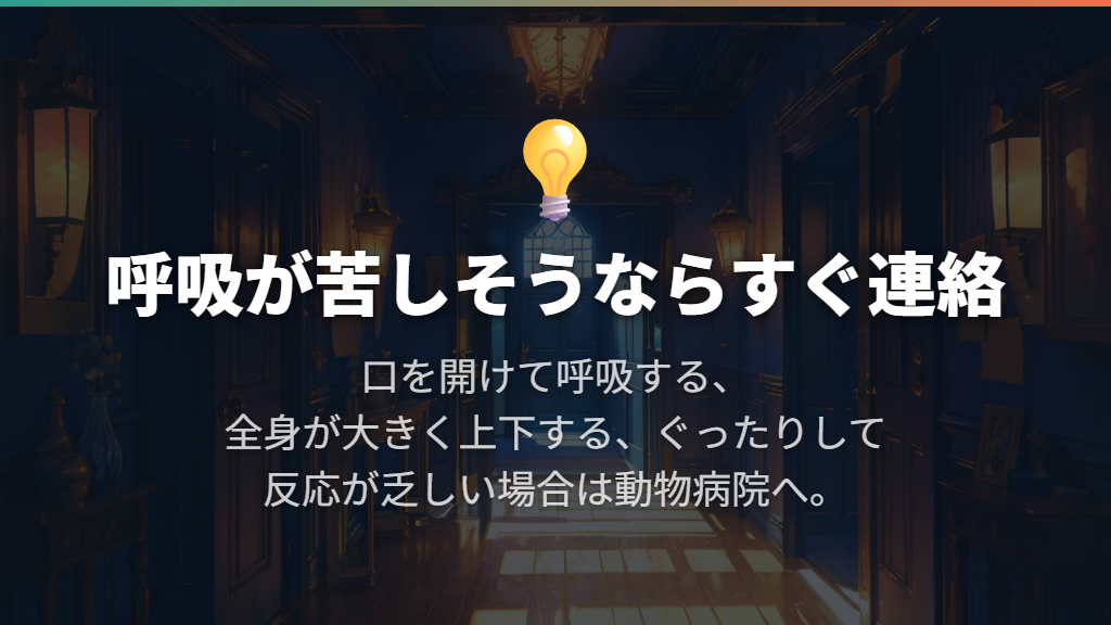 呼吸が苦しそう・ぐったりしている場合は耳より受診を優先