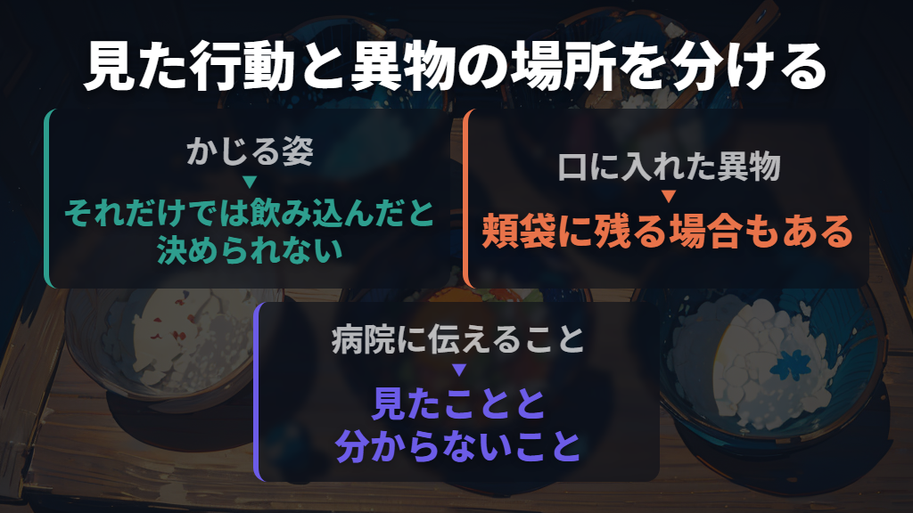 かじる・頬袋に入れる・飲み込むを分けて考える