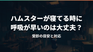ハムスターが寝てる時に呼吸が早いのは大丈夫？受診の目安と対応