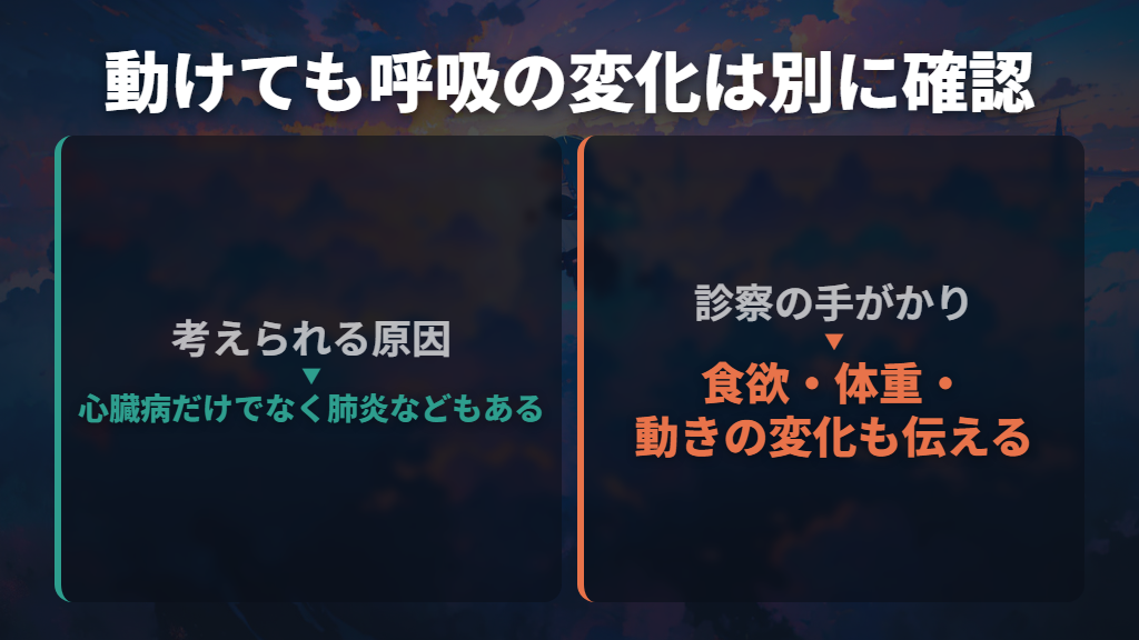 動けていても安心とは限らない｜心臓病の可能性