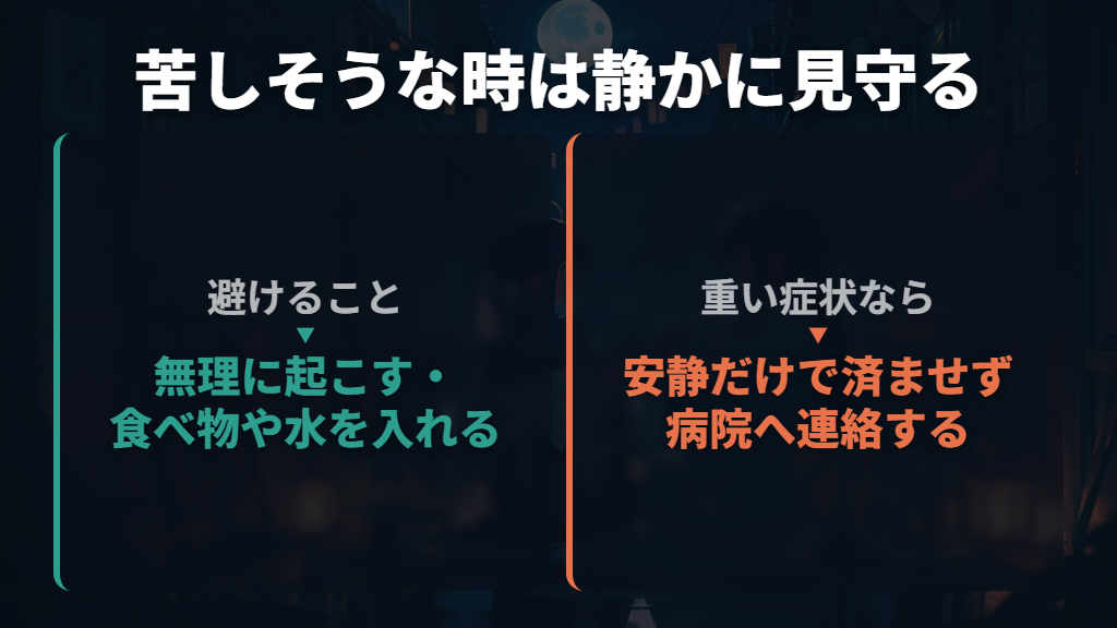 無理に起こして遊ばせたり、水や薬を与えたりしない