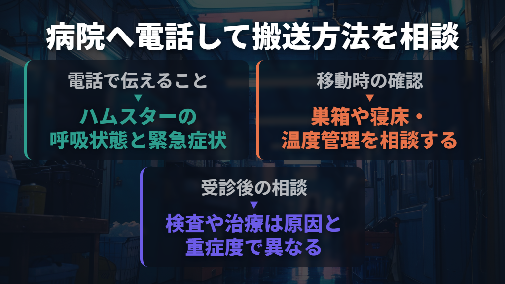 ハムスターを診られる病院へ電話し、移動方法を確認する