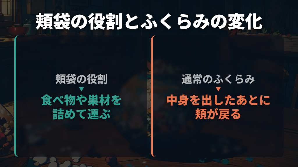 頬袋は餌を運ぶ袋で、肩のあたりまで伸びる