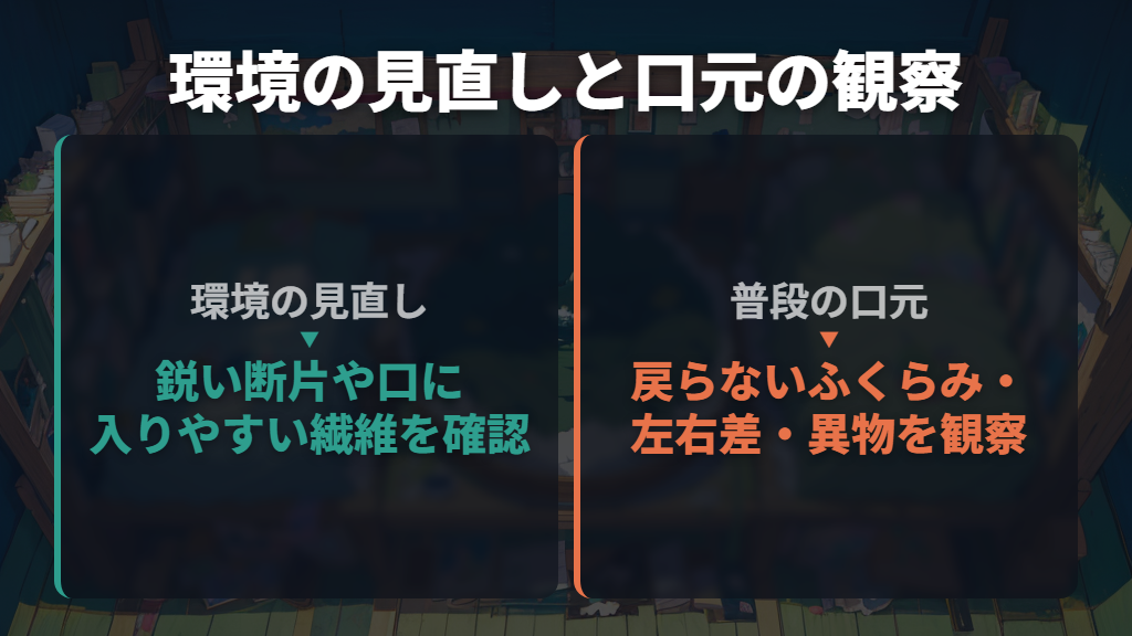 床材やケージの傷つく要因を減らし、普段の口元を観察する