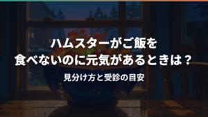 ハムスターがご飯を食べないのに元気があるときは?見分け方と受診の目安