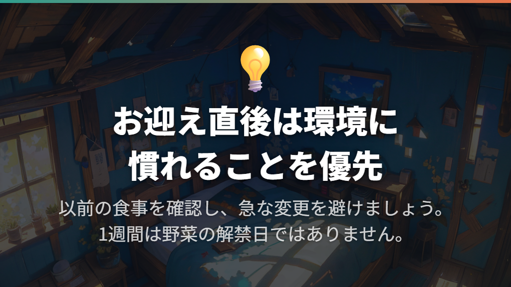 お迎え直後は、環境に慣れることと食事の急な変更を避けることが先