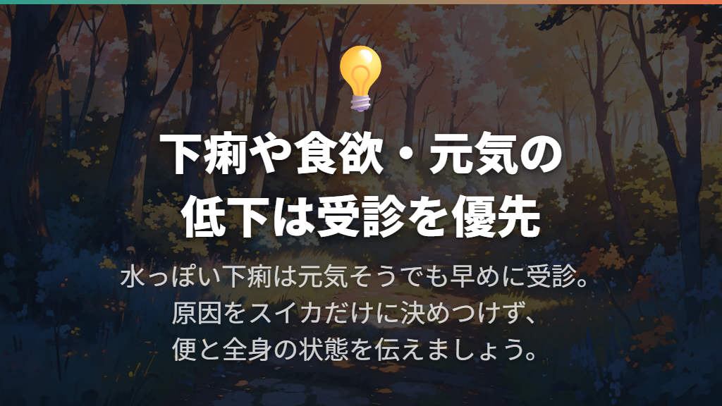 食べた後に下痢や元気の低下があれば、受診を優先